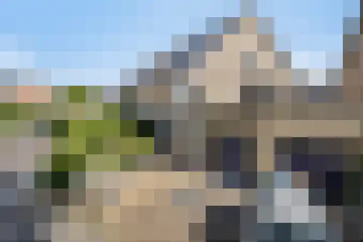 Zeepkruid 64 Amersfoort thumbnail 28