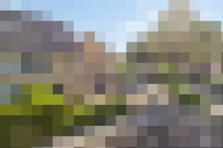 Zeepkruid 64 Amersfoort thumbnail 29