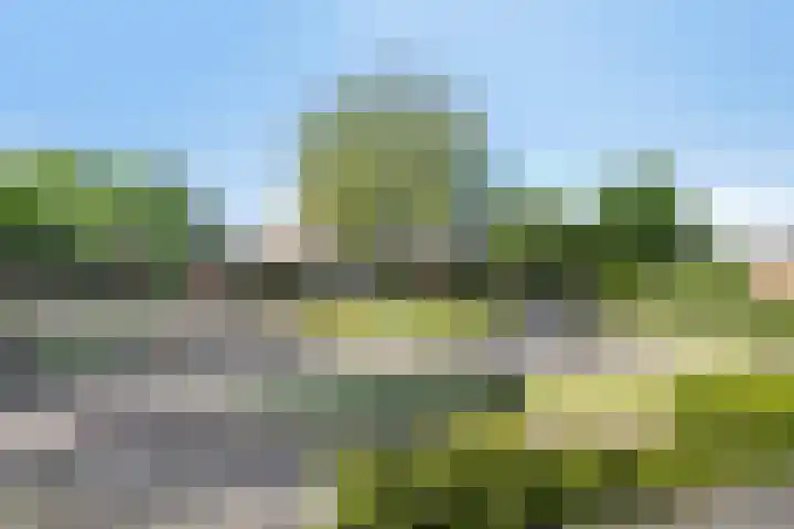 Zeepkruid 64 Amersfoort thumbnail 30
