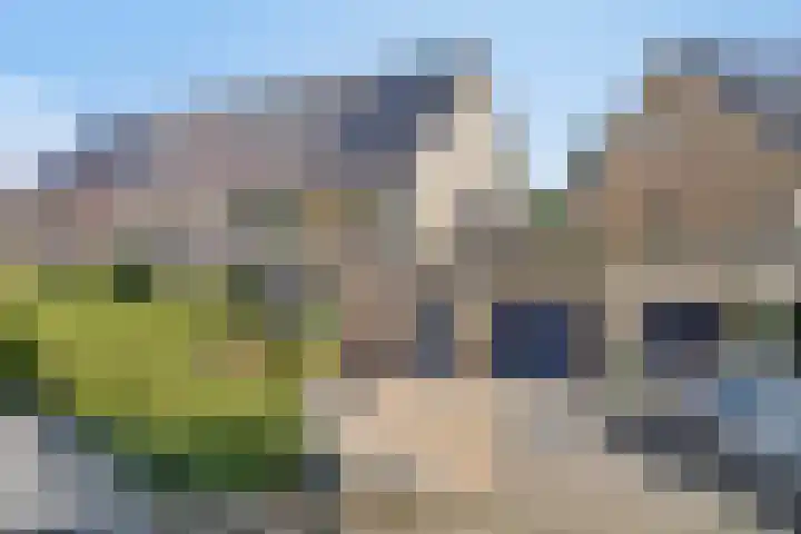 Zeepkruid 64 Amersfoort thumbnail 38