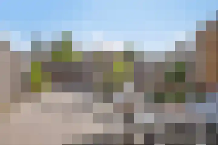 Zeepkruid 64 Amersfoort thumbnail 4