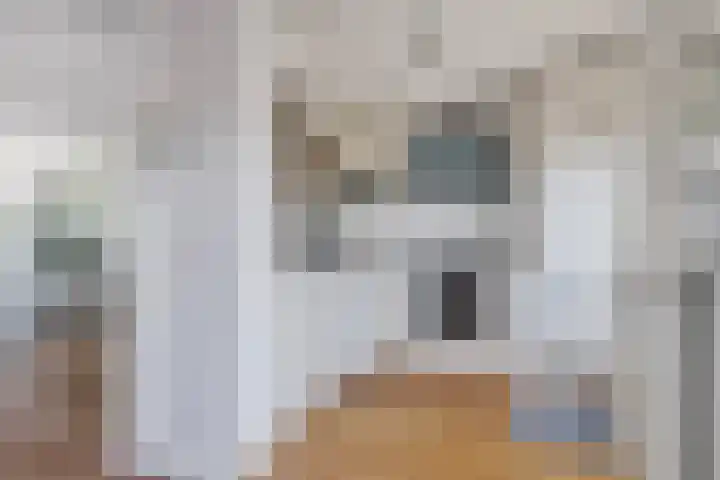 Zeepkruid 64 Amersfoort thumbnail 6