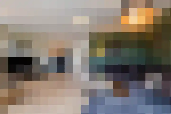 Zeepkruidlaan 13 Beilen thumbnail 10