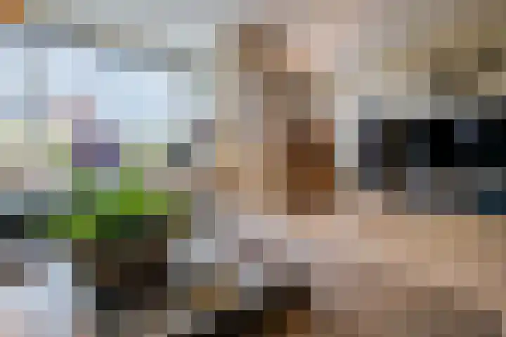 Zeepkruidlaan 13 Beilen thumbnail 11