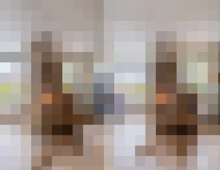 Zeepkruidlaan 13 Beilen thumbnail 12