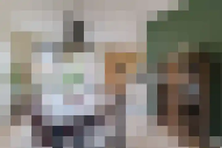 Zeepkruidlaan 13 Beilen thumbnail 13