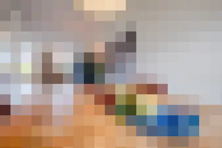 Zeepkruidlaan 13 Beilen thumbnail 15