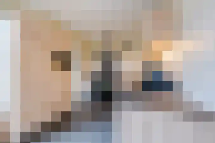 Zeepkruidlaan 13 Beilen thumbnail 16