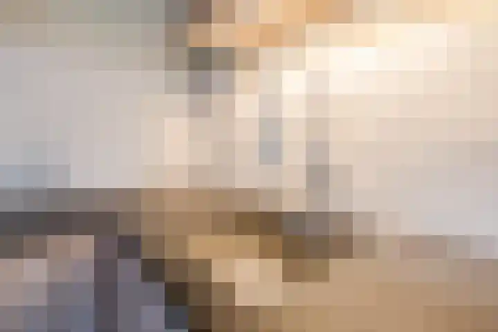 Zeepkruidlaan 13 Beilen thumbnail 18