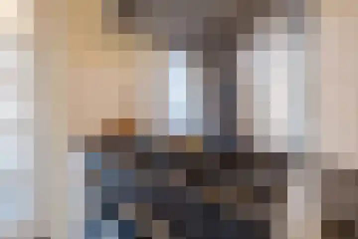 Zeepkruidlaan 13 Beilen thumbnail 19