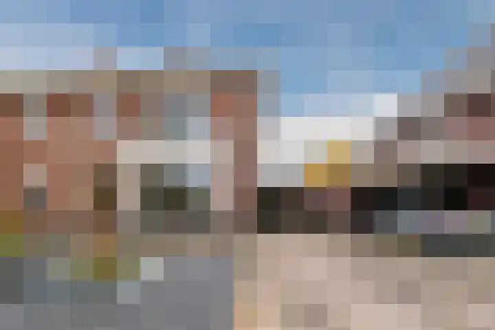 Zeepkruidlaan 13 Beilen foto 2