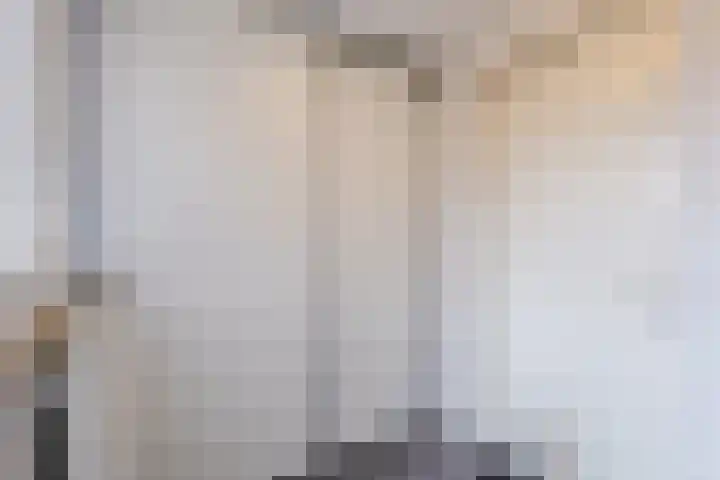 Zeepkruidlaan 13 Beilen thumbnail 22