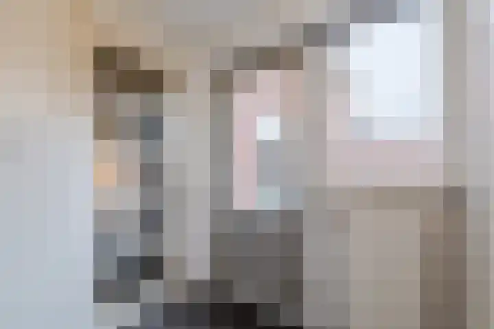 Zeepkruidlaan 13 Beilen thumbnail 23