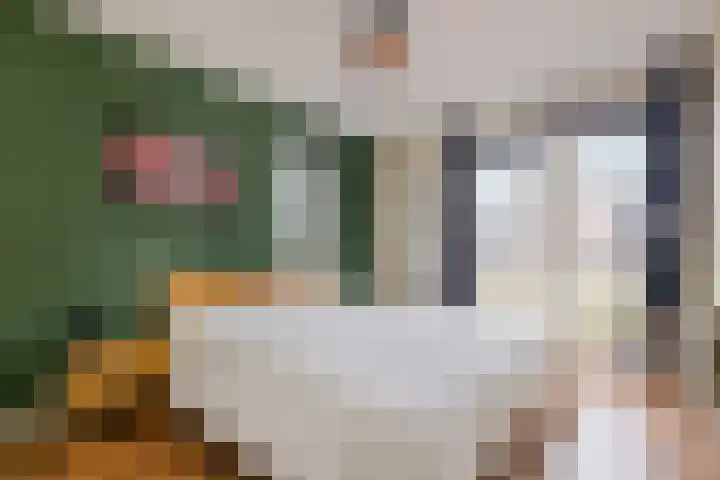 Zeepkruidlaan 13 Beilen thumbnail 24