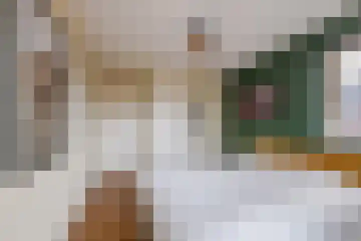 Zeepkruidlaan 13 Beilen thumbnail 25
