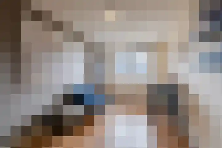 Zeepkruidlaan 13 Beilen thumbnail 26