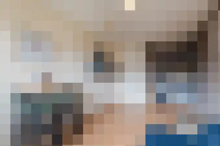 Zeepkruidlaan 13 Beilen thumbnail 27