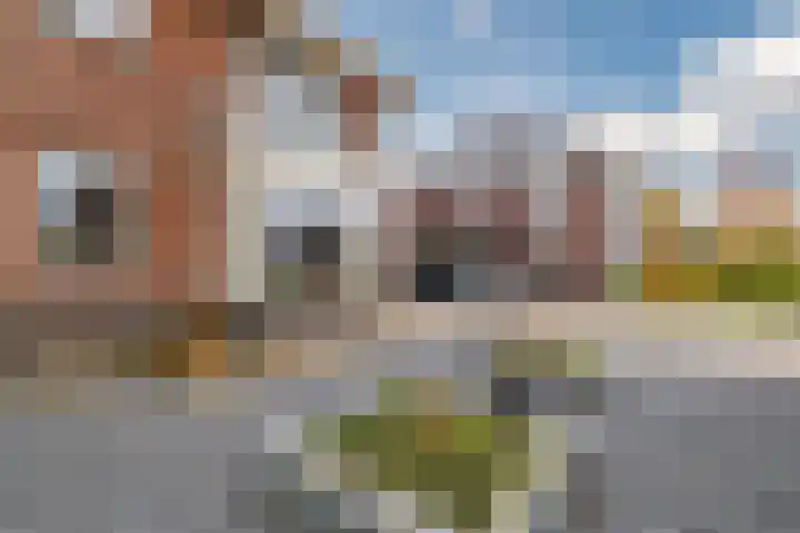 Zeepkruidlaan 13 Beilen foto 3