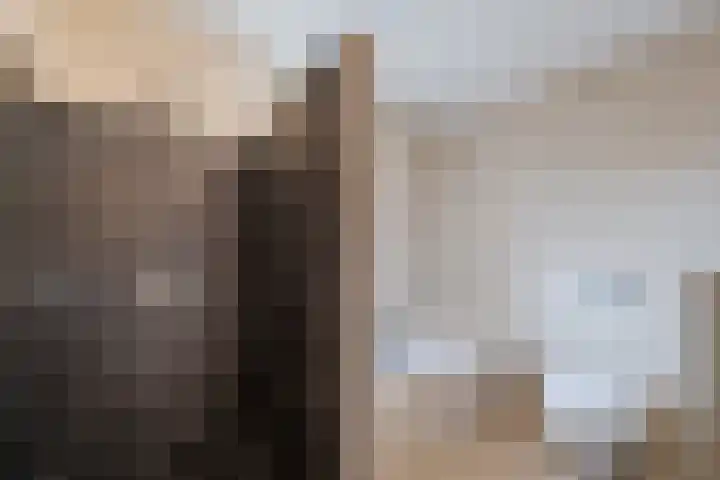 Zeepkruidlaan 13 Beilen thumbnail 31