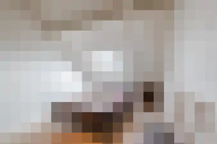 Zeepkruidlaan 13 Beilen thumbnail 37