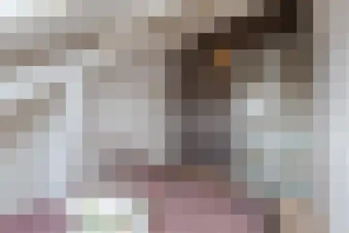Zeepkruidlaan 13 Beilen thumbnail 38