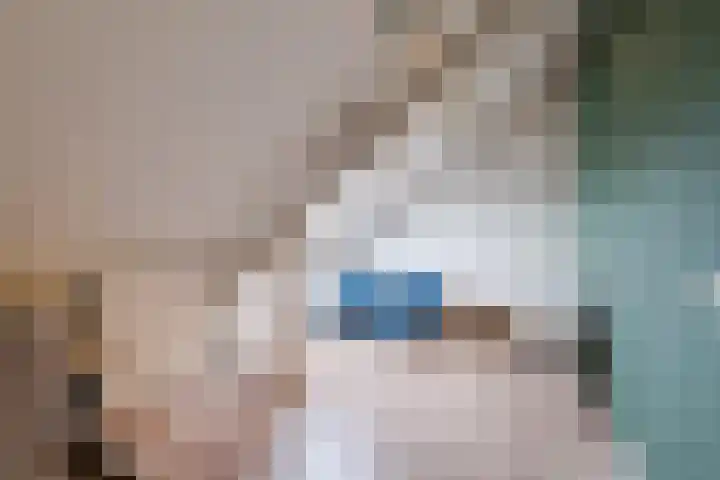 Zeepkruidlaan 13 Beilen thumbnail 39