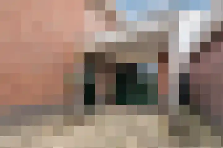 Zeepkruidlaan 13 Beilen thumbnail 4