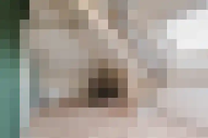 Zeepkruidlaan 13 Beilen thumbnail 40