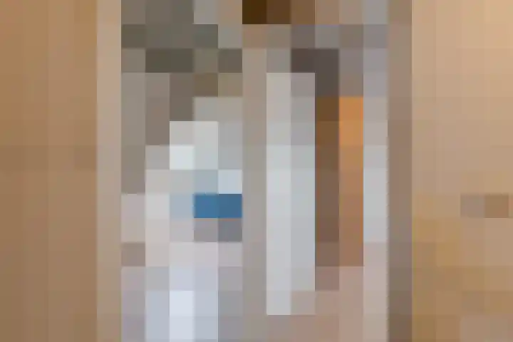 Zeepkruidlaan 13 Beilen thumbnail 41