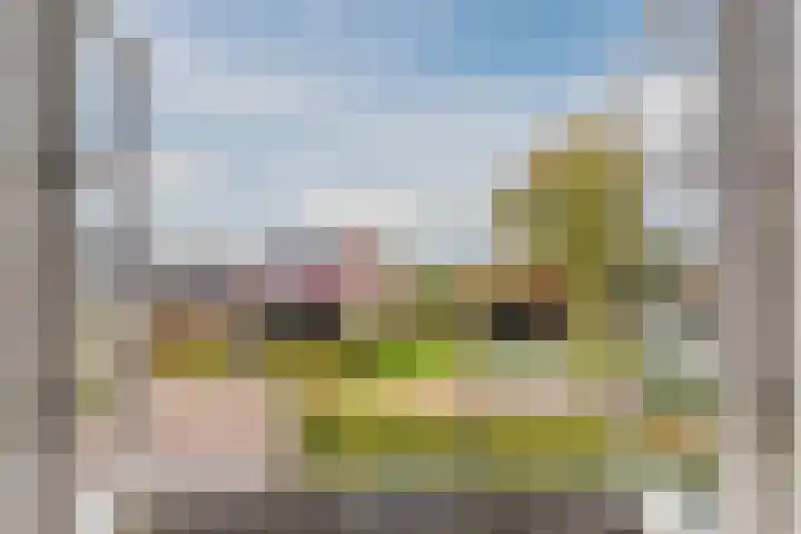 Zeepkruidlaan 13 Beilen thumbnail 42