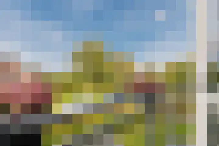Zeepkruidlaan 13 Beilen thumbnail 43