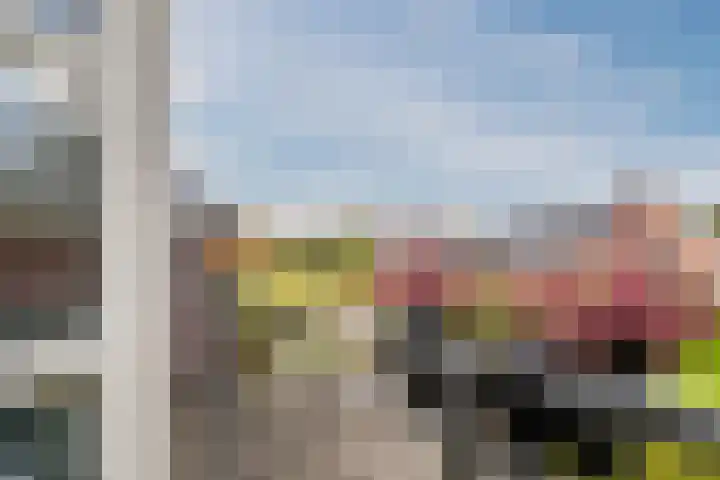 Zeepkruidlaan 13 Beilen thumbnail 44