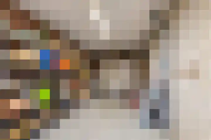 Zeepkruidlaan 13 Beilen thumbnail 45