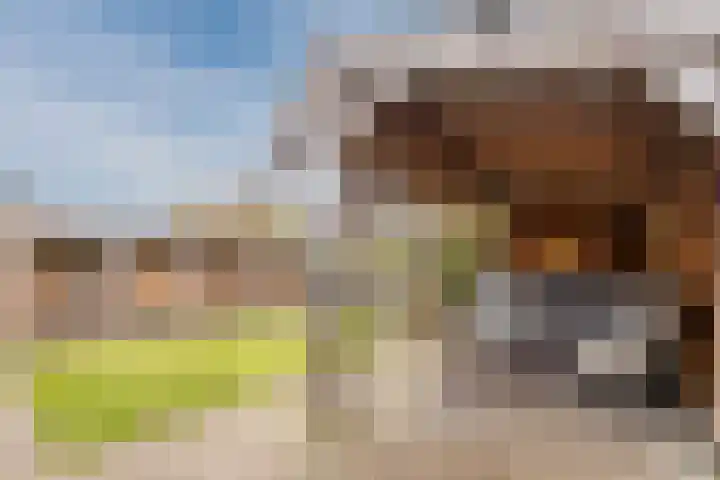 Zeepkruidlaan 13 Beilen thumbnail 46