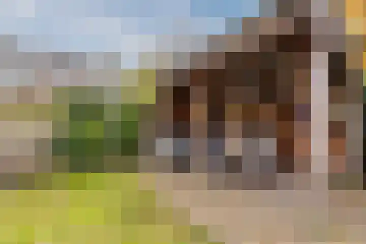 Zeepkruidlaan 13 Beilen thumbnail 47