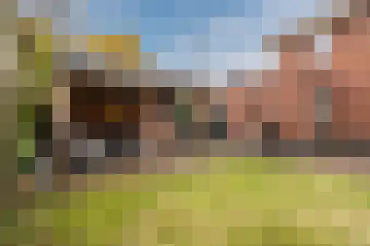 Zeepkruidlaan 13 Beilen thumbnail 48