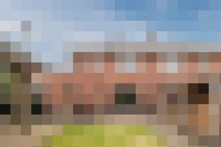 Zeepkruidlaan 13 Beilen thumbnail 49