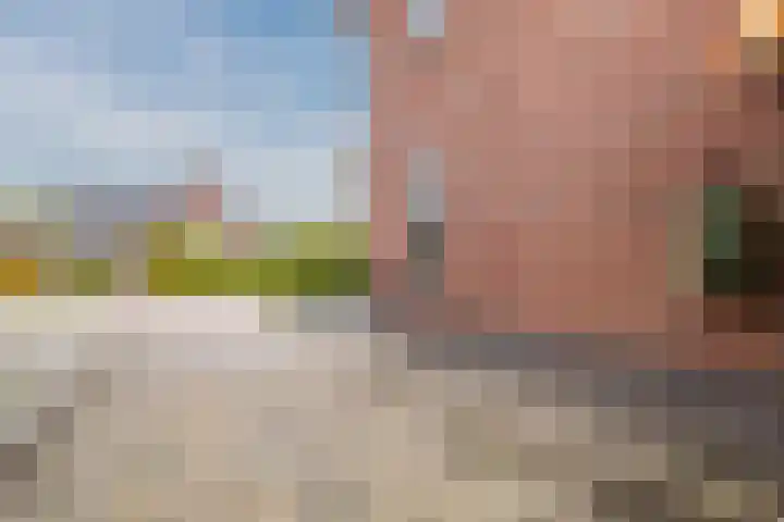 Zeepkruidlaan 13 Beilen thumbnail 5