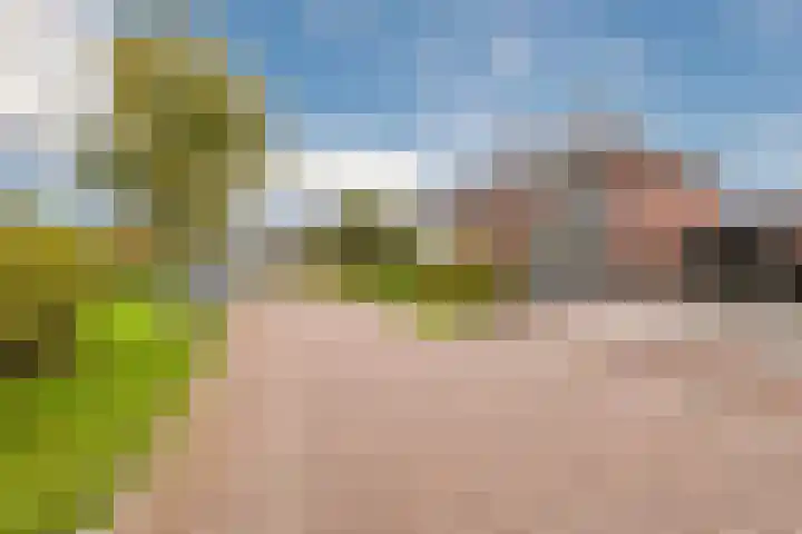 Zeepkruidlaan 13 Beilen thumbnail 50