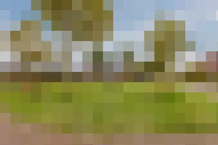 Zeepkruidlaan 13 Beilen thumbnail 51