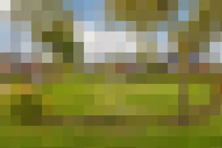 Zeepkruidlaan 13 Beilen thumbnail 52