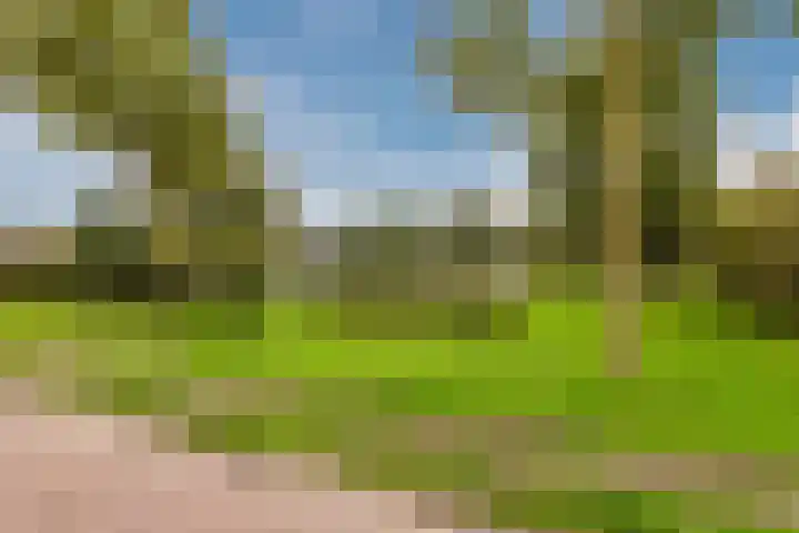 Zeepkruidlaan 13 Beilen thumbnail 53