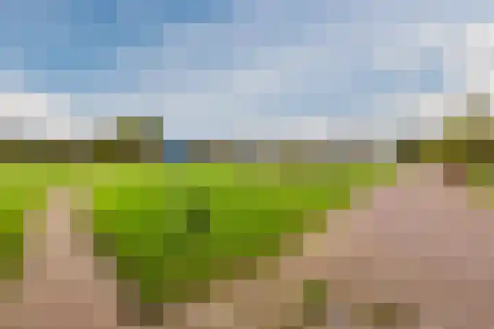 Zeepkruidlaan 13 Beilen thumbnail 54