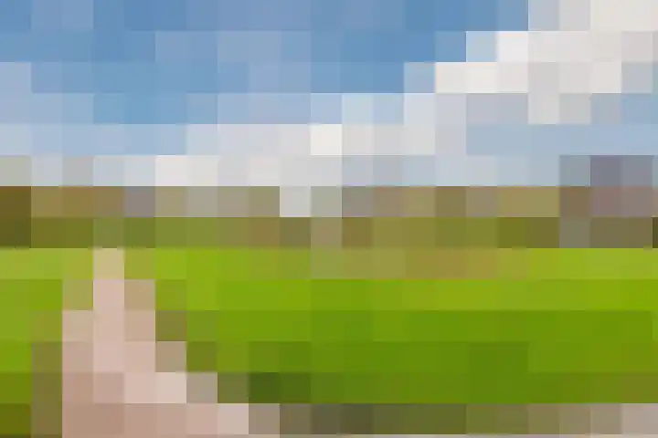 Zeepkruidlaan 13 Beilen thumbnail 55