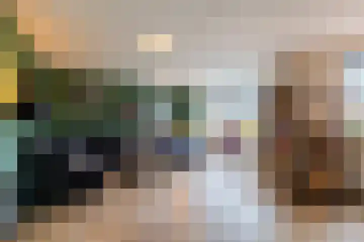 Zeepkruidlaan 13 Beilen thumbnail 8
