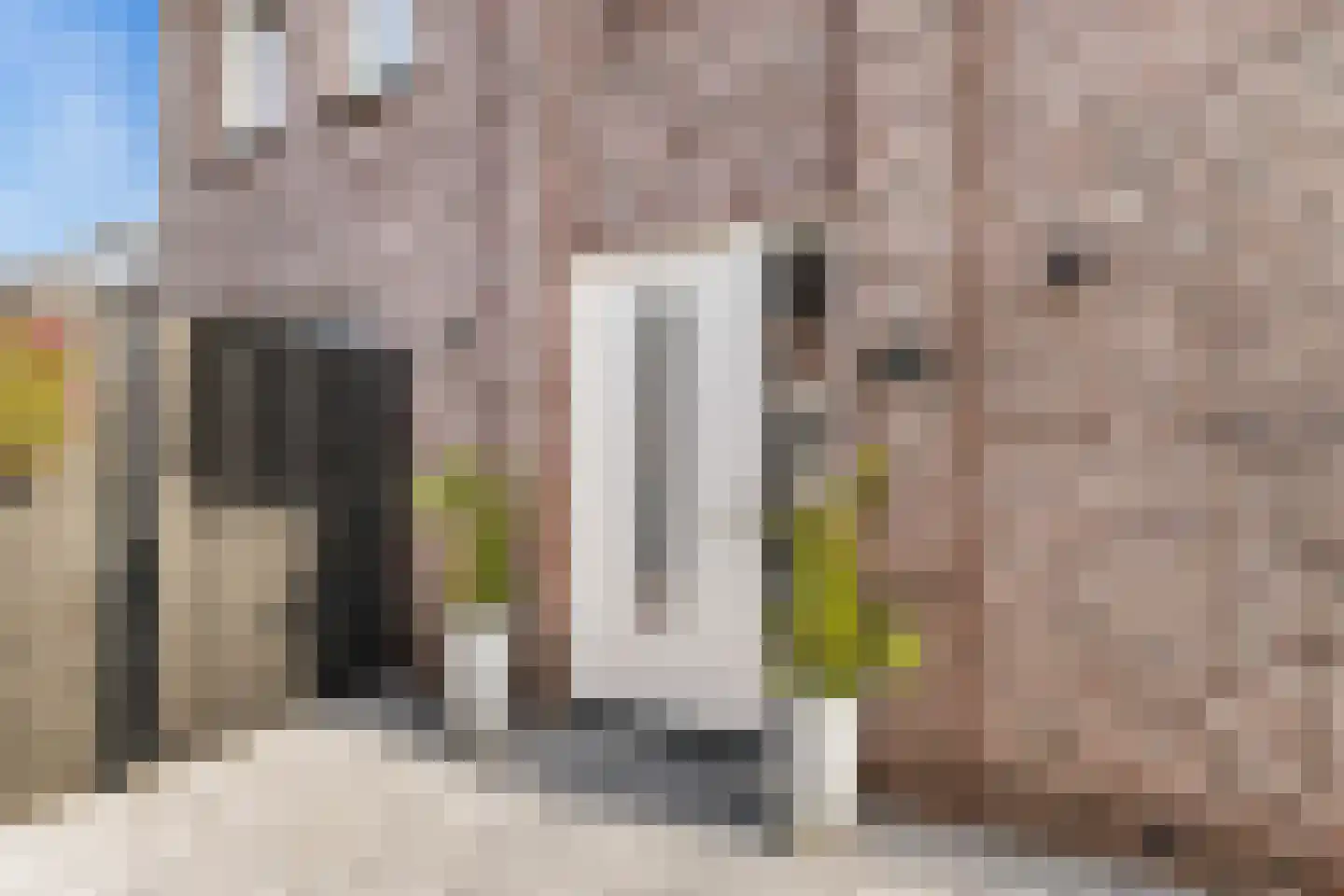 Zeepkruidstraat 10 Lelystad thumbnail 4