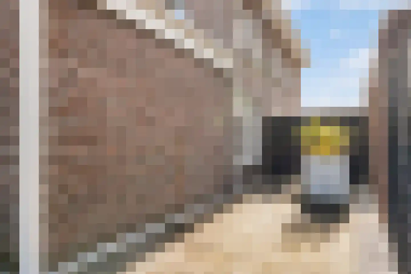 Zeepkruidstraat 10 Lelystad thumbnail 70