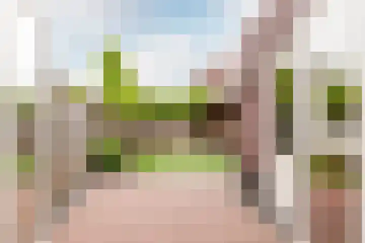Zeepkruidstraat 120 Lelystad thumbnail 30