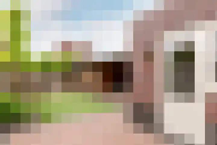 Zeepkruidstraat 120 Lelystad thumbnail 31