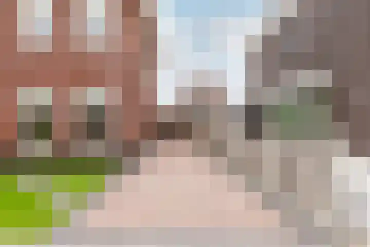 Zeepkruidstraat 120 Lelystad thumbnail 34